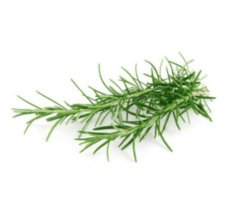 Alecrim
