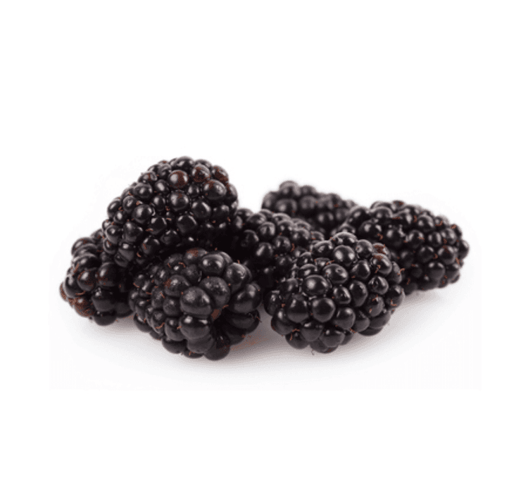 Boysenberry