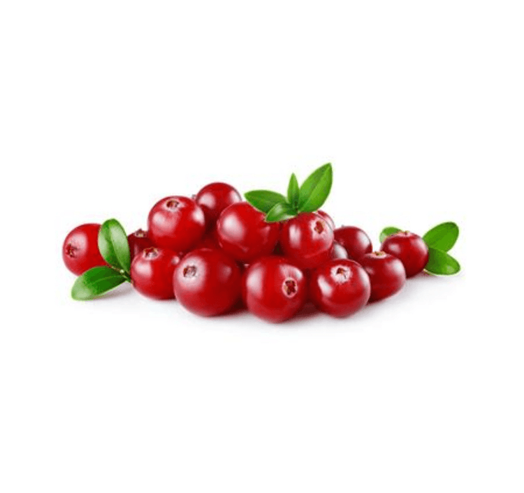 Cranberry / Airela / Arando