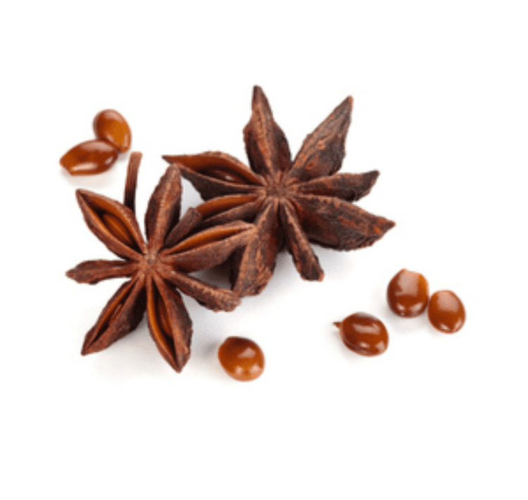 Estrela de anis