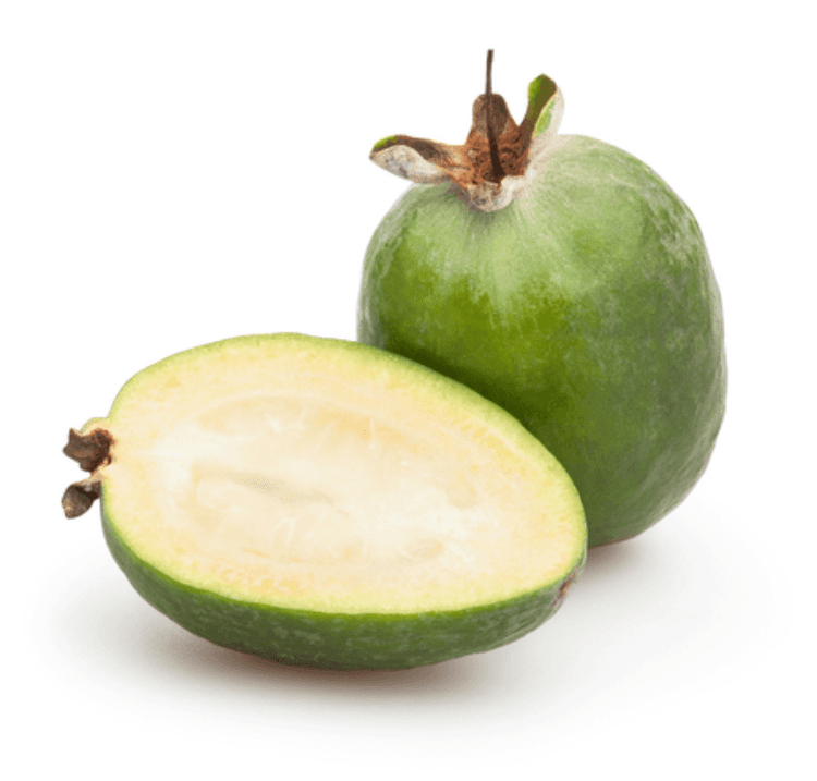 Feijoa