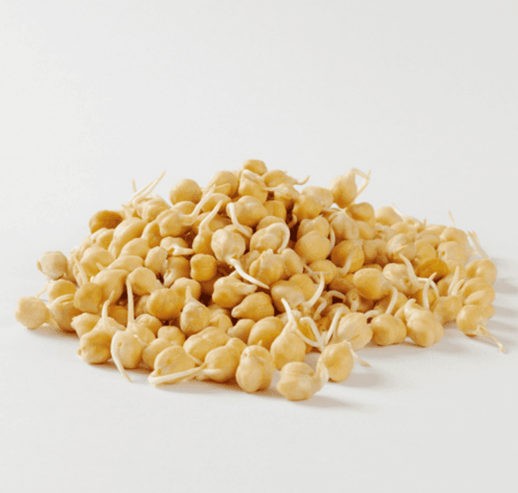Grão de bico (germinado)