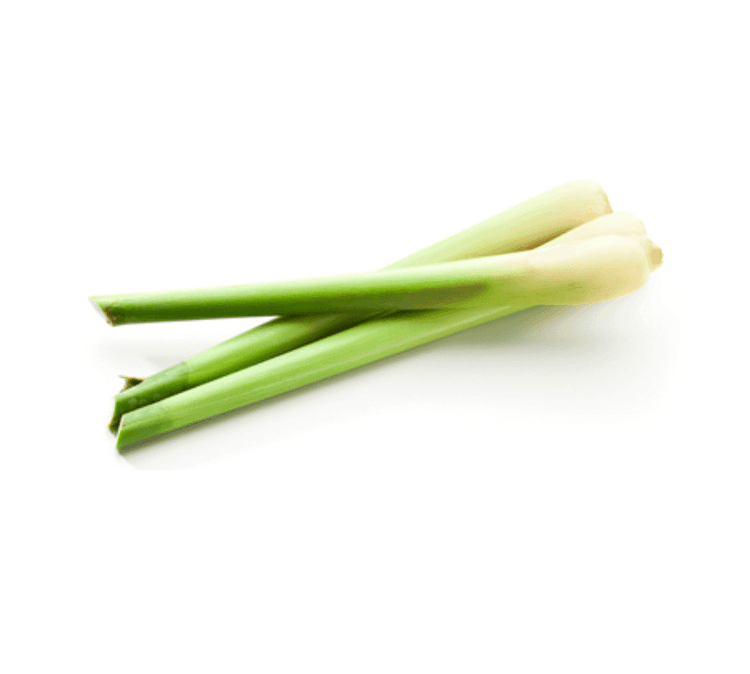 Capim limão / Lemongrass