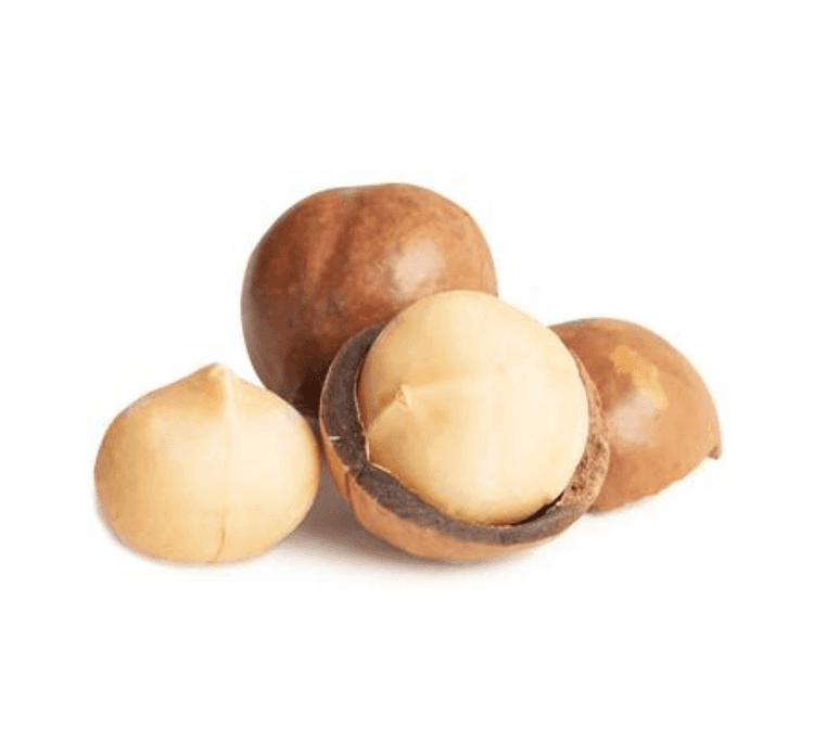 Macadamia