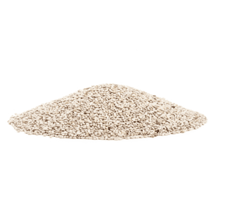 Semente de chia (branca)