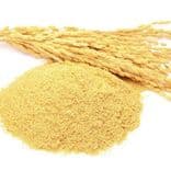 Farelo de arroz