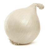 Cebola branca