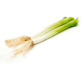 Cebolinha (somente bulbo)