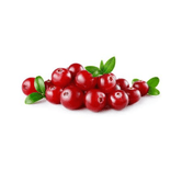 Cranberry / Airela / Arando - 50g, 133g, 161g