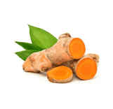 Cúrcuma / Açafrão da terra