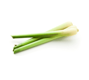 Capim limão / Lemongrass - 50g