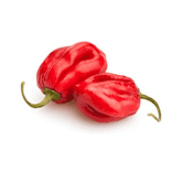 Pimenta vermelha