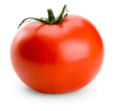 Tomate